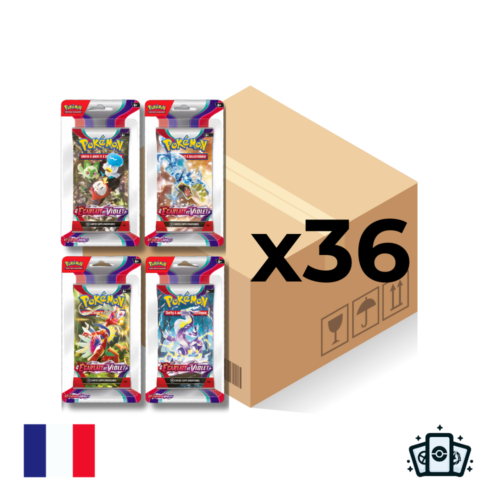 Case Blisters x36 - Pokémon EV01 : Écarlate et Violet - FR (NEUF/SCELLÉ)