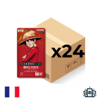 Case Blister One Piece OP13 Successeurs Français