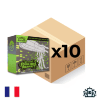 Case Coffret Dresseur D'Élite Pokémon ME03 : Équilibre Parfait - Français